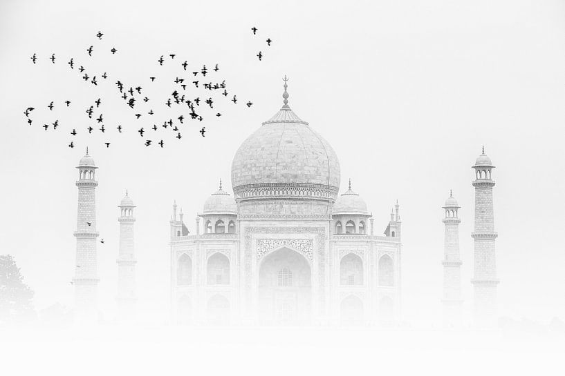 Taj Mahal von Thomas Herzog
