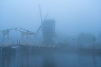 Leiden im Nebel