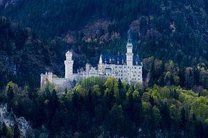 Château de Neuschwanstein sur Walter G. Allgöwer