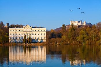 Vögel über der Festung Hohensalzburg und Schloss Leopoldskron