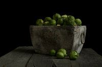 Sprouts