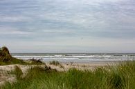 Strand von Terschelling von Evert Jan Kip Miniaturansicht