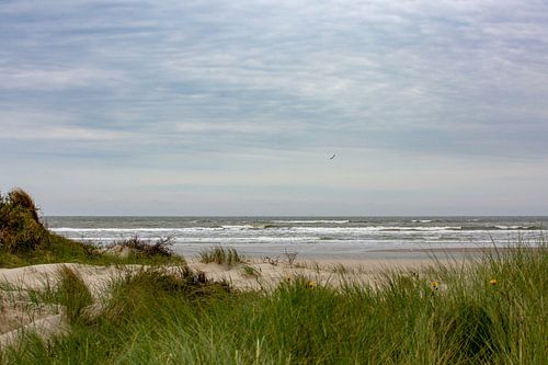 Strand van Terschelling
