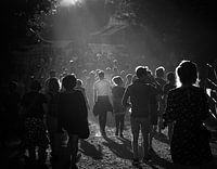 Rage, rage, against the dying of light......(Dylan Thomas)