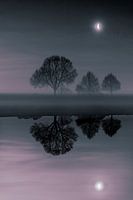 Reflection of the Moon