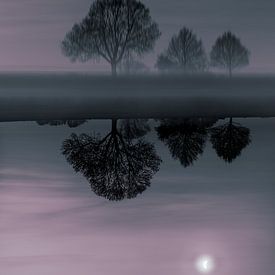 Weerspiegeling van de maan van dr. Bart fotografie