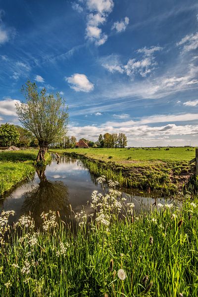 Typisch Fries landschap aan de rand van het dorpje Grou by Harrie Muis