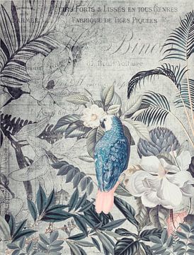 Tropen-Nostalgie mit Papagei von Andrea Haase