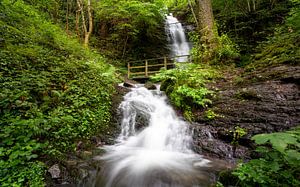 Dortebachtal, Eifel, Rheinland-Pfalz, Deutschland
