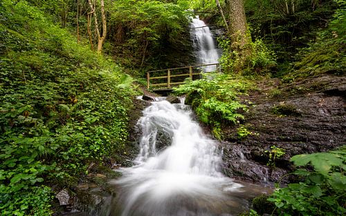 Dortebachtal, Eifel, Rijnland-Palts, Duitsland
