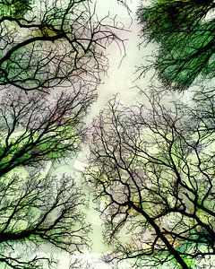 Abstrakte Wald Landschaft im Sommer