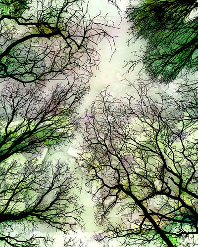 Abstract boslandschap in de zomer