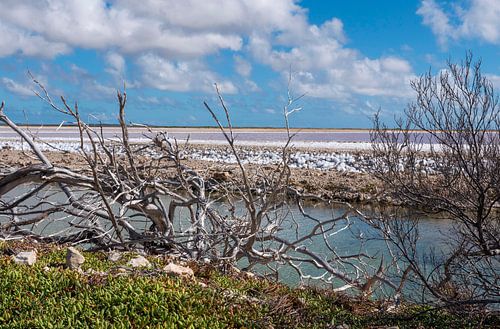 Romantisch uitzicht op de Zoutmeren van Bonaire