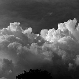 Large cumulus clouds in black and white. by Corinne Welp