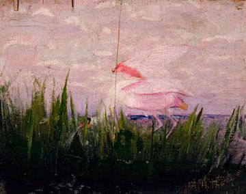 Roseate Spoonbill, study for book Concealing Coloration in the Animal Kingdom, Abbott Handerson Thay