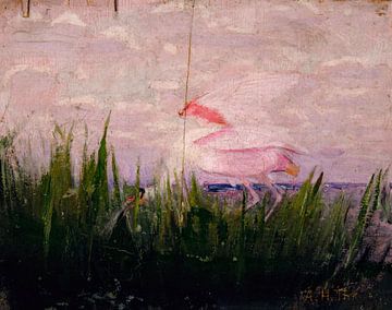 Roseate Spoonbill, studie voor boek Concealing Coloration in the Animal Kingdom, Abbott Handerson Th