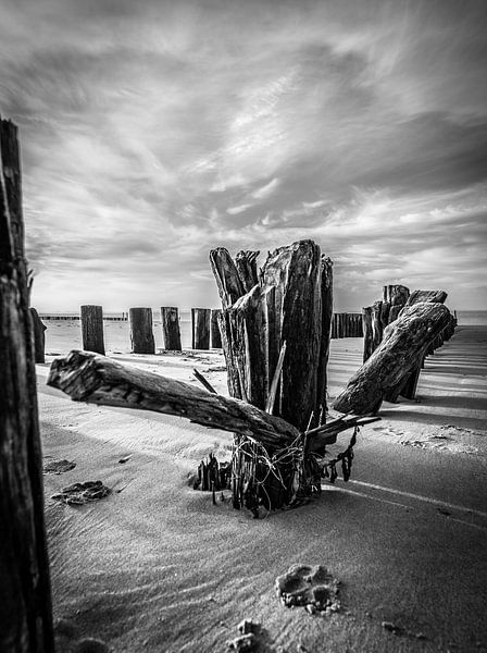 Broken van Jolanda Bosselaar