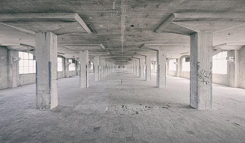 Abandoned sites: Sphinx factory Maastricht Eiffel building hall.