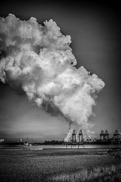 Target by Peter Pruydt