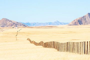 Namib-desert van Kees Kroon