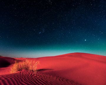 Woestijn bij nacht van Mad Dog Art