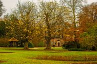 L'automne dans les jardins Van de Keukenhof par Brian Morgan Aperçu