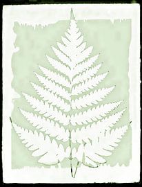 Feuille de fougère japonaise sur FRESH Fine Art