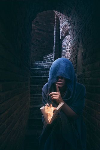 Portret van Vrouw met Brandend Boek – Symboliek van Educatie en Feminisme