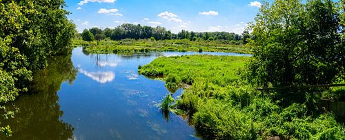 Limburgse Wateren: Zomers Panorama aan de Grens