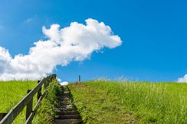 Almost up... by Rob Donders Beeldende kunst