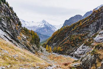 Blick auf eine bunte Berglandschaft im Herbst, Französische Alpen | Landschaftsfotografie