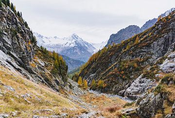 Blick auf eine bunte Berglandschaft im Herbst, Französische Alpen | Landschaftsfotografie von Merlijn Arina Photography