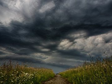 Calm before the storm by Lex Schulte