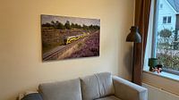 Photo de nos clients: Un train à deux étages le long de la lande à la gare d'Assel par Stefan Verkerk