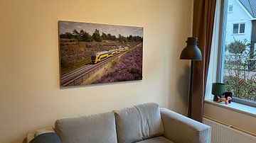 Customer photo: A double-decker train along the heathland at Assel Station by Stefan Verkerk