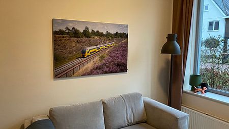Een dubbeldekker trein langs de heide bij Halte Assel