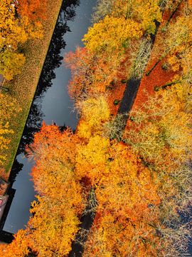 Herfst in vol ornaat van Nico van Maaswaal