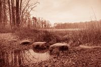 Stille Oversteek