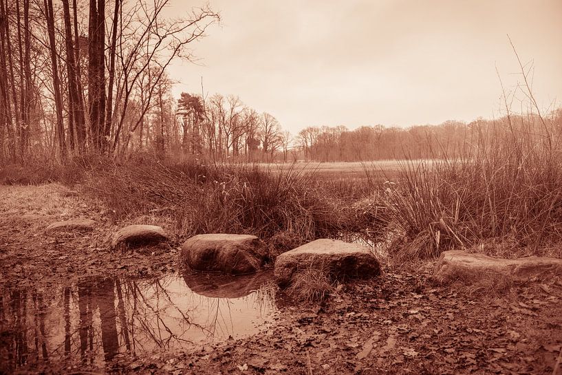 Traversée silencieuse par Impression d'artiste de la nature