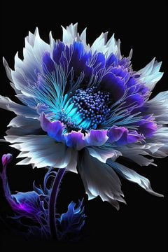 Blue purple flower by haroulita