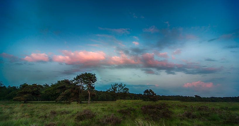 Blauw uurtje boven alleenstaande boom von Holland Air Photo