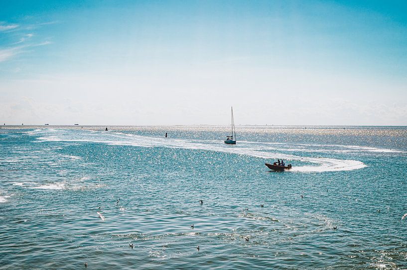 Katz-und-Maus-Spiel auf dem Wattenmeer bei Vlieland von Daphne Groeneveld