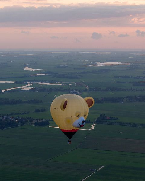 Hot air balloon over the Frisian Meadows at Sunset by Ewold Kooistra