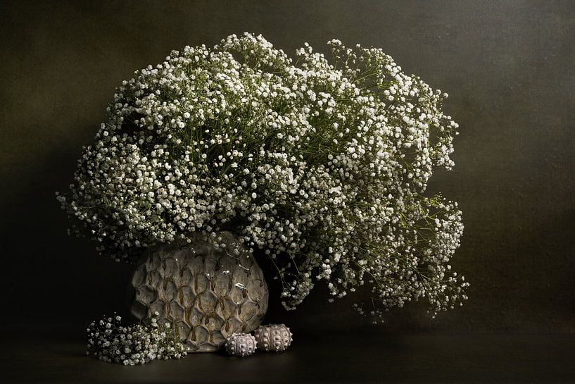 Modern stilleven met gipskruid van John van de Gazelle fotografie