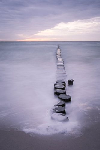 Windbreaker at the Sea