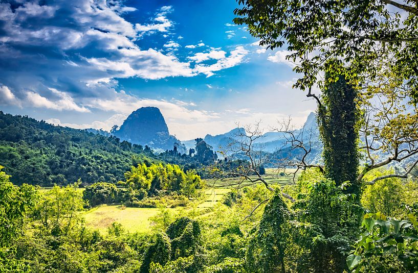 Blick auf den Dschungel in Laos von Rietje Bulthuis