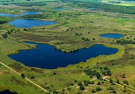 De Peel ist ein Hochmoorgebiet an der Grenze zwischen Limburg und Brabant. von Sky Pictures Fotografie