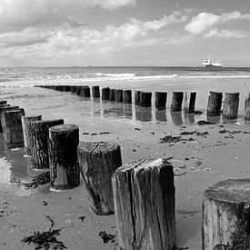 Poleheads on the beach of Vlissingen in black and white with the Nollehoofd in the distance by Judith Cool
