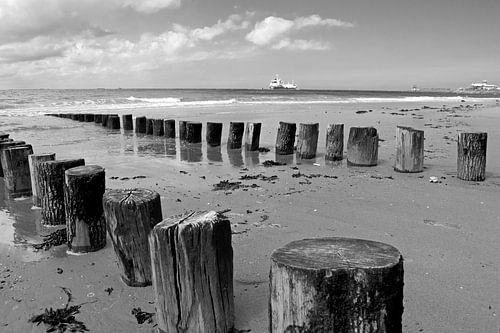 Poleheads am Strand von Vlissingen in Schwarz-Weiß mit dem Nollehoofd in der Ferne