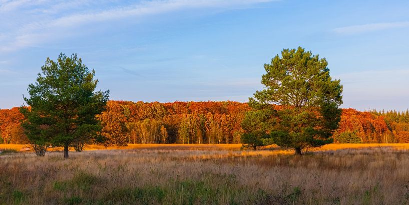 L'automne au cœur de la Drenthe par Henk Meijer Photography